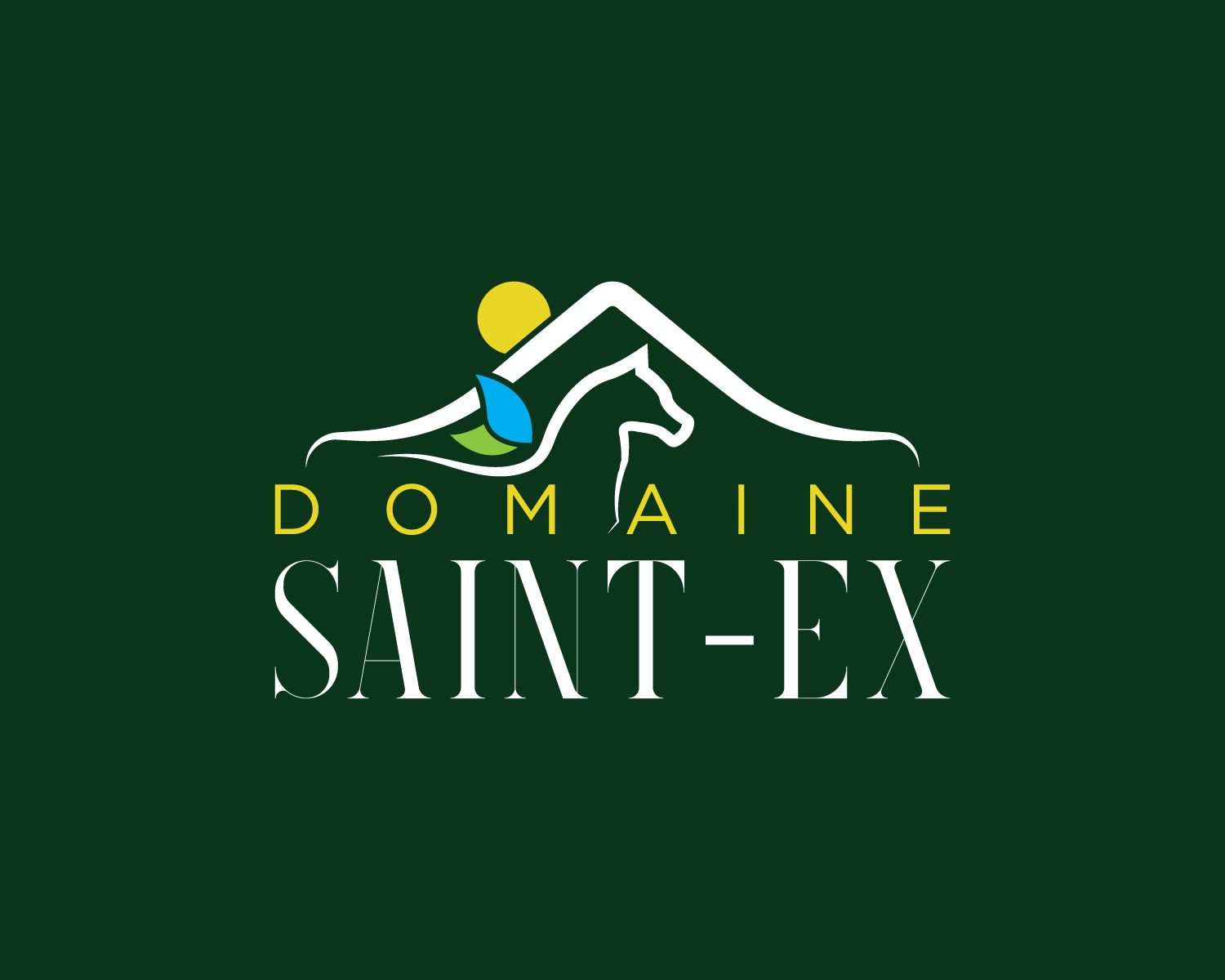 Design de Logo par MAWBM pour Dmedia | Design #32408638