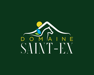 Logo Design by MAWBM for Dmedia | Design: #32408638