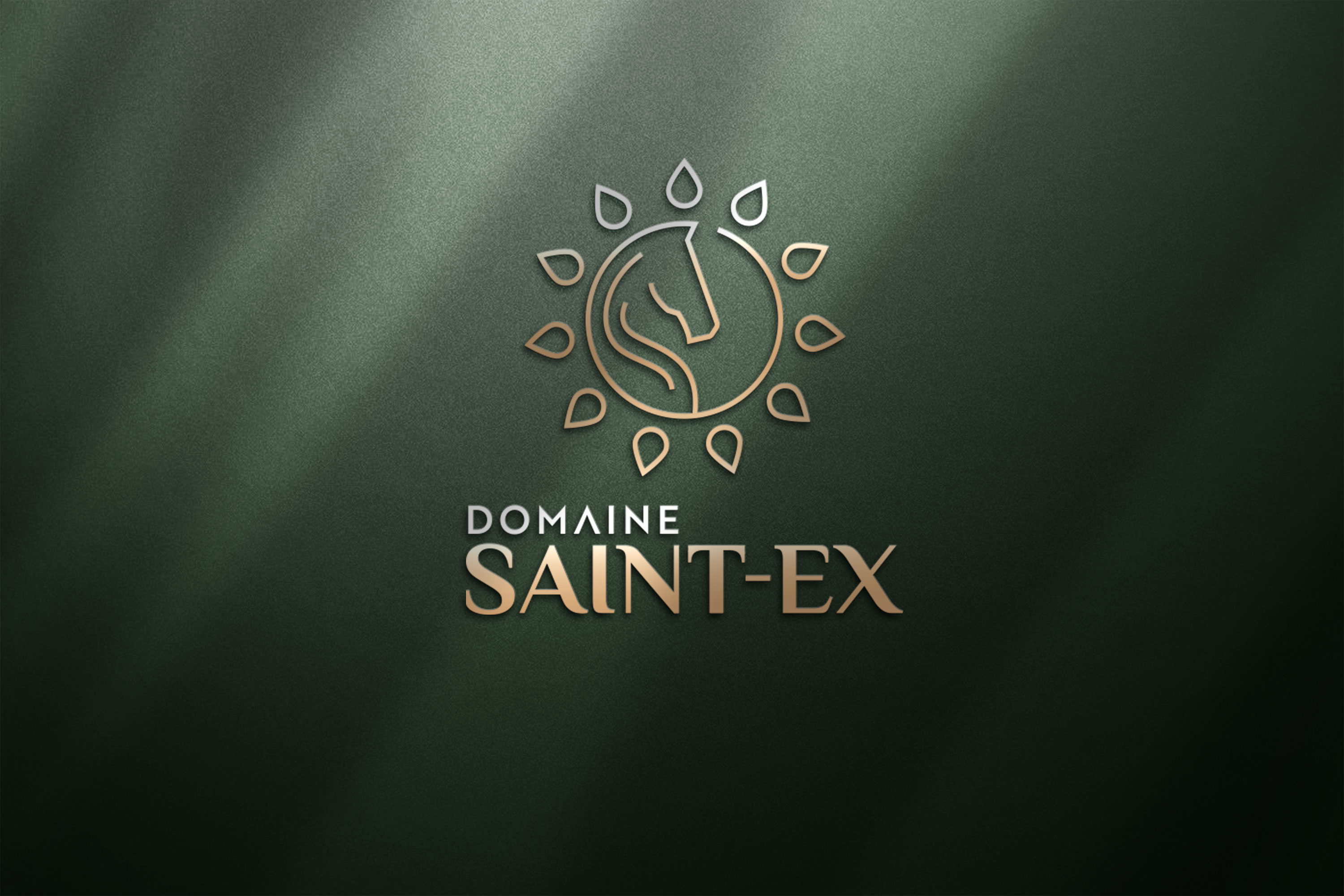 Logo Design by Obi.K for Dmedia | Design #32432212
