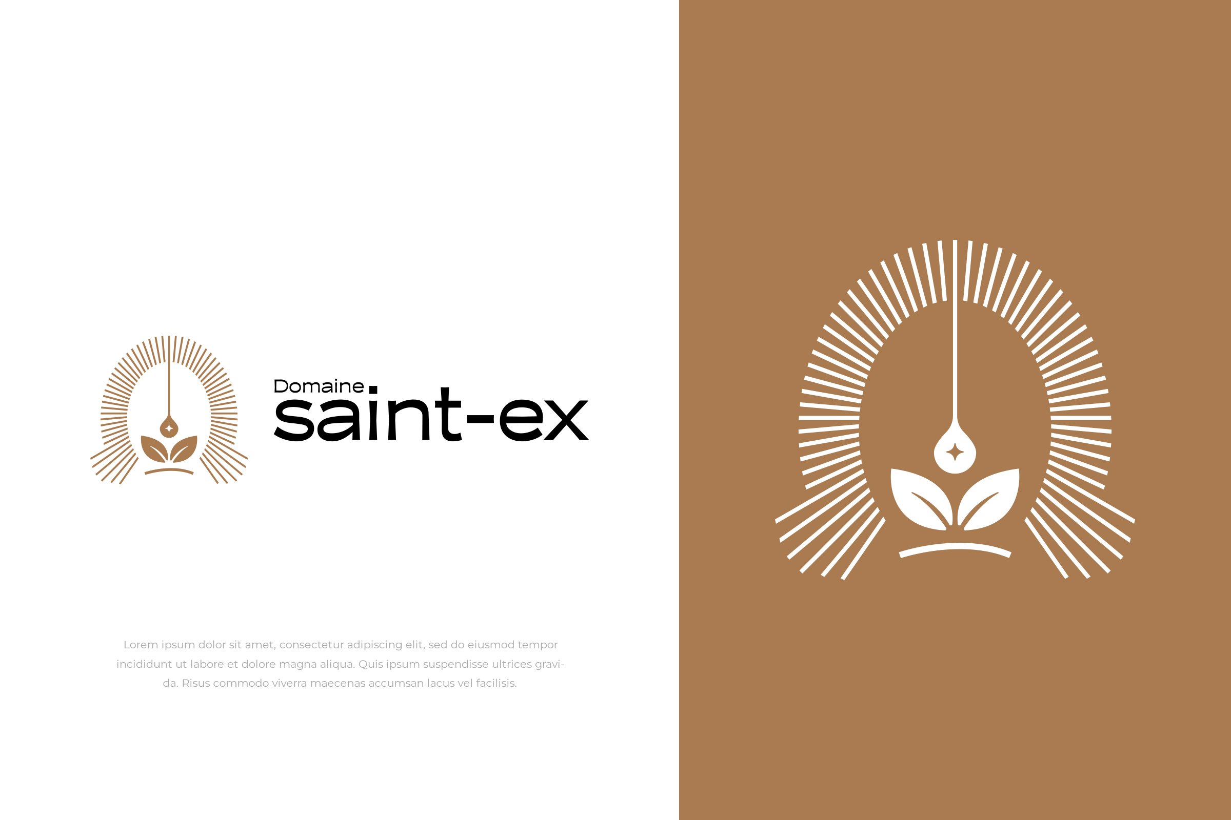 Design de Logo par vramar.roy pour Dmedia | Design #32391994