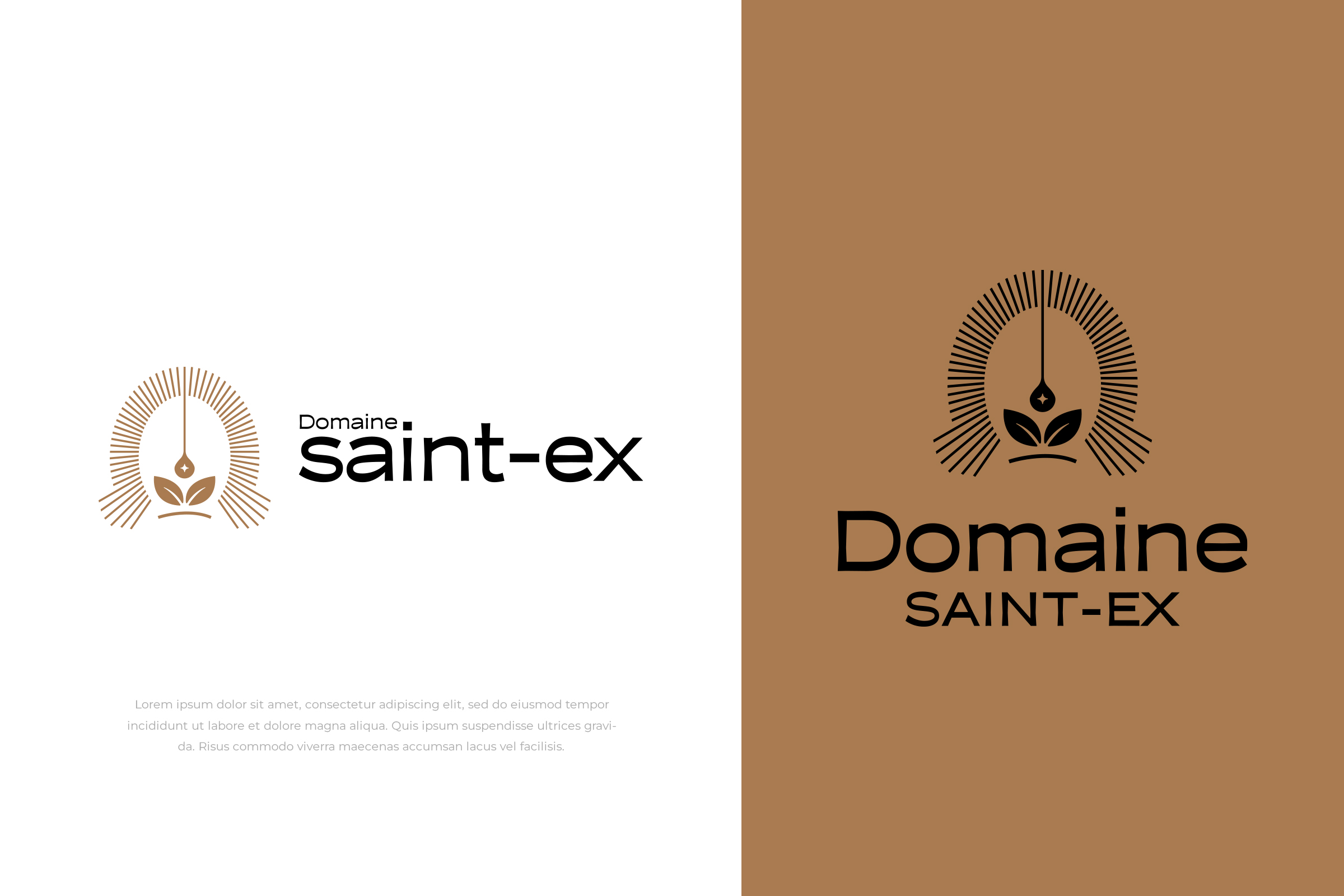Logo Design by vramar.roy for Dmedia | Design #32392008