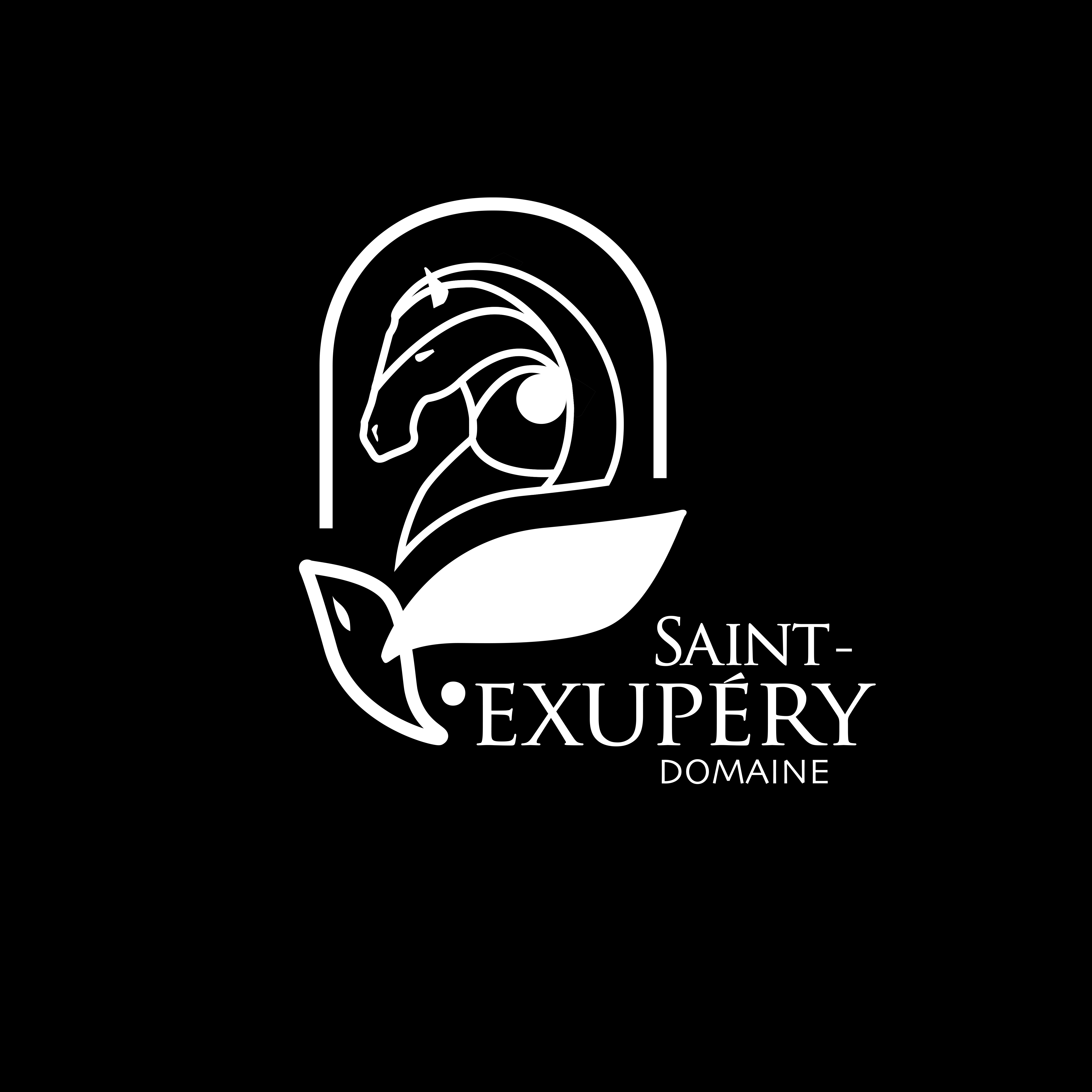 Logo Design by vtojal for Dmedia | Design #32400717