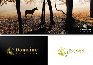 Logo Design by titanium wings