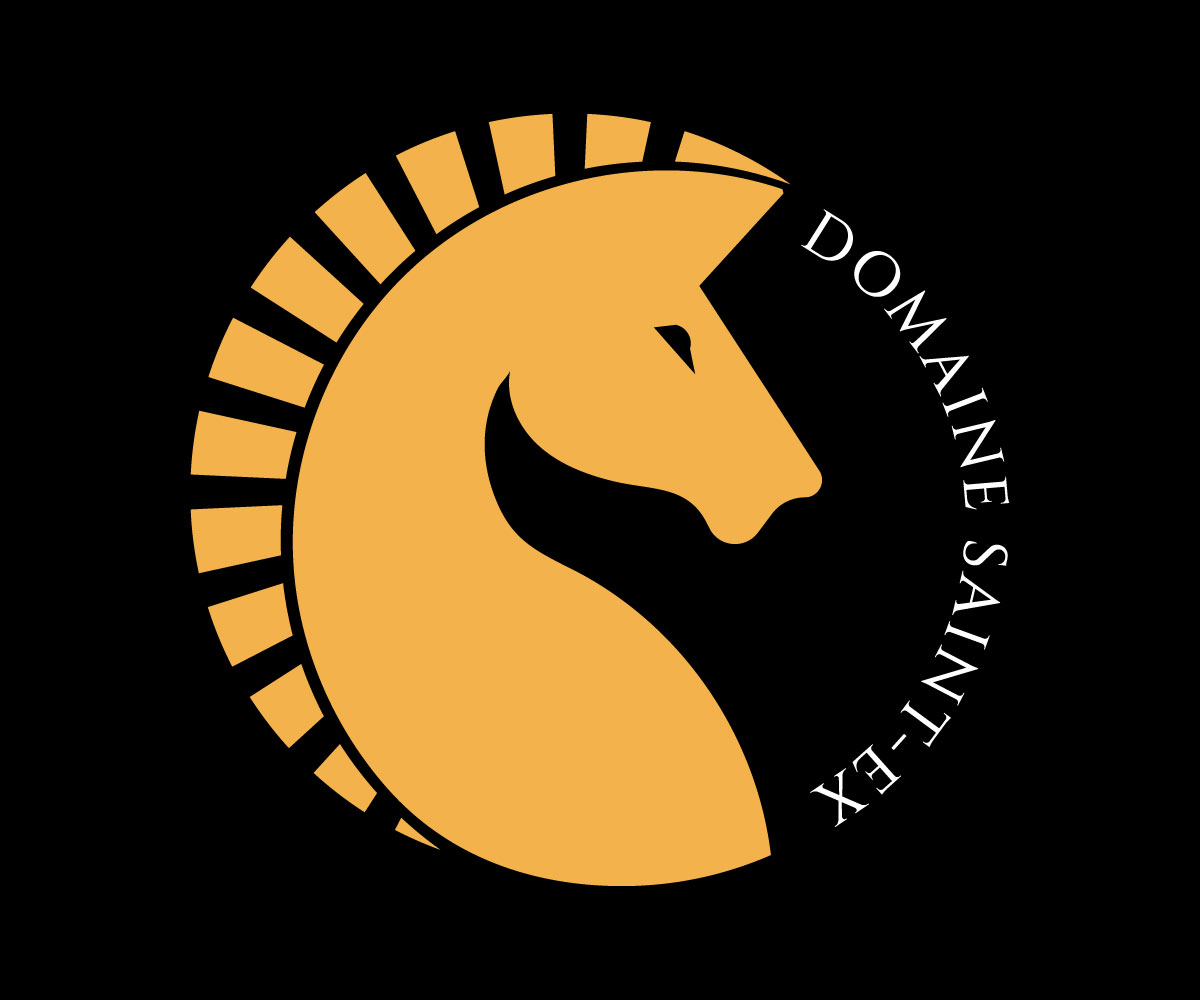 Logo Design by UN for Dmedia | Design #32392198