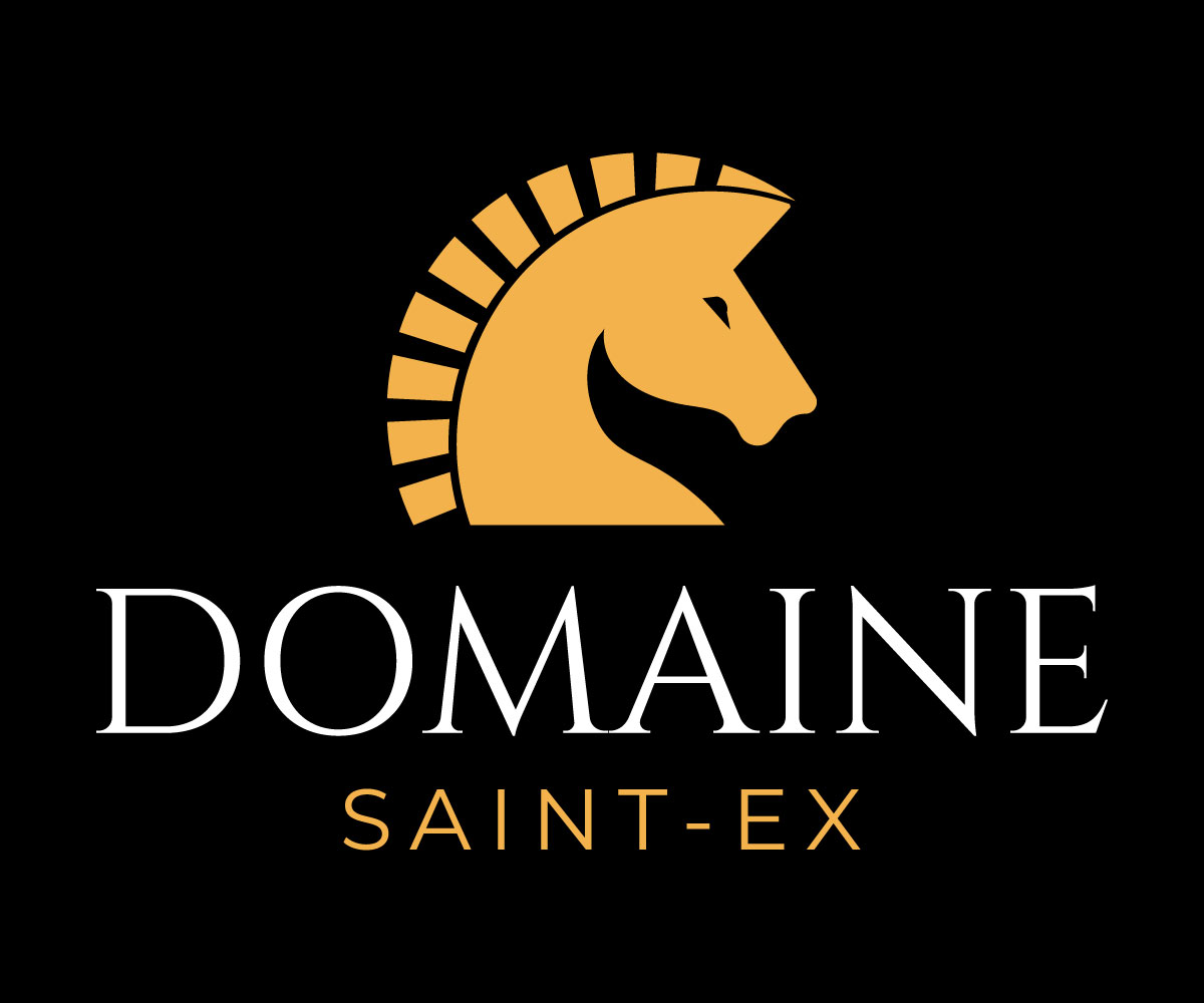 Logo Design by UN for Dmedia | Design #32392317