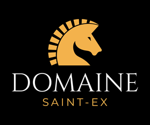 Logo Design by UN for Dmedia | Design: #32392317