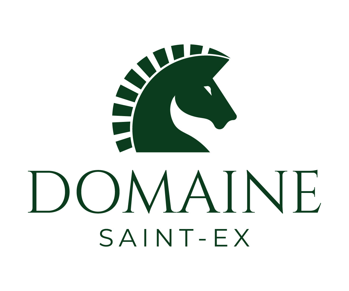 Logo Design by UN for Dmedia | Design #32392368