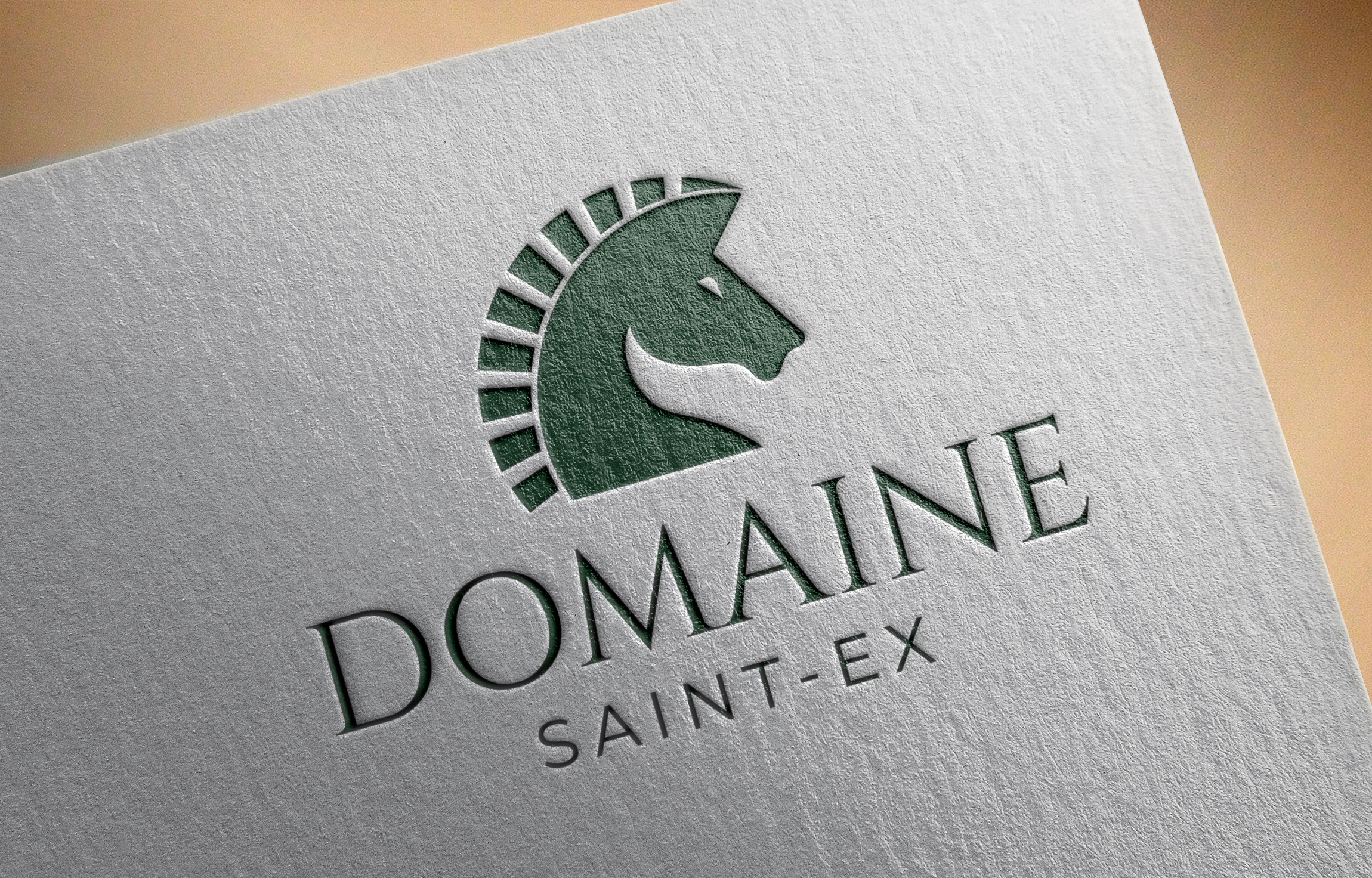 Logo Design by UN for Dmedia | Design #32393507