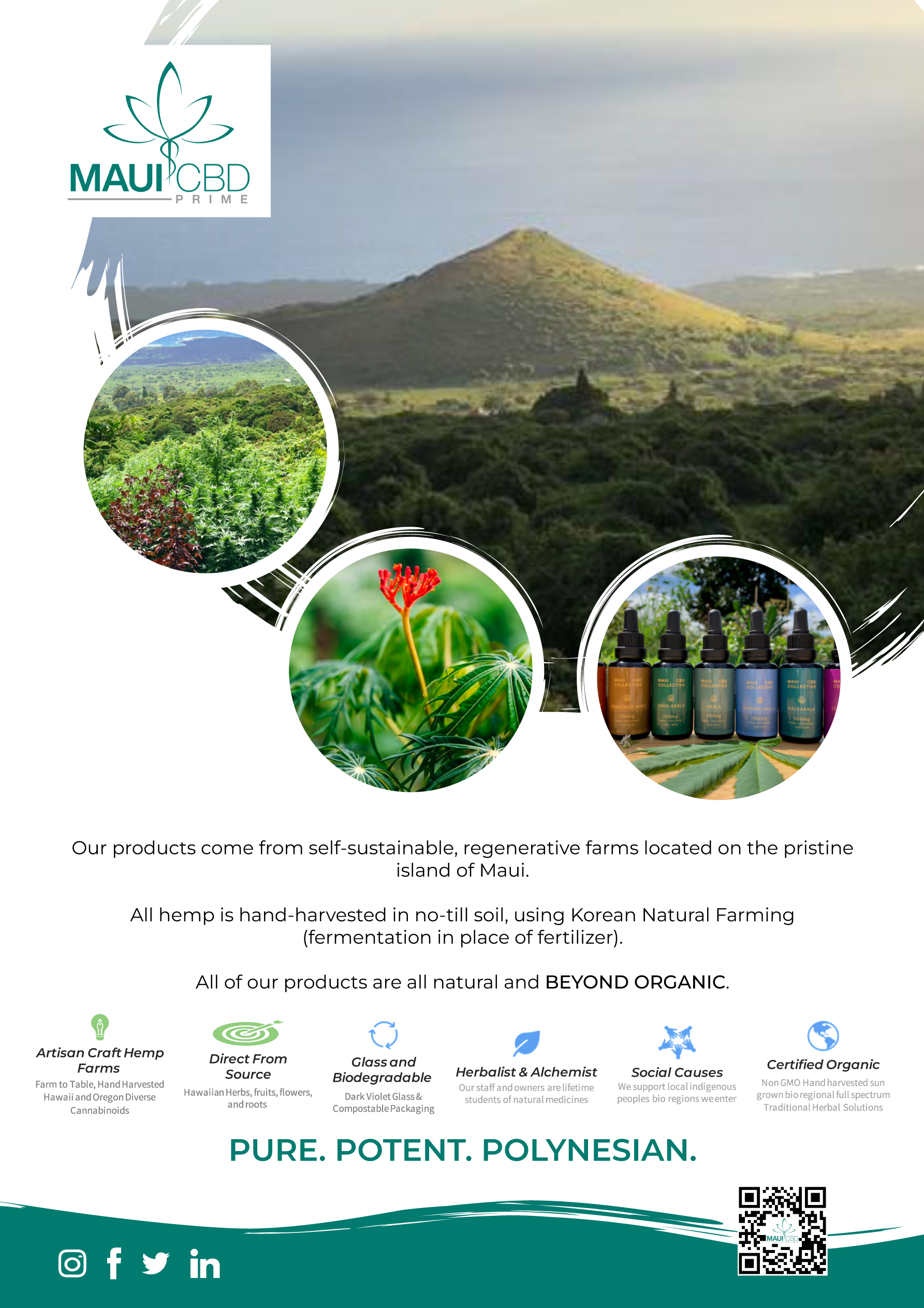 Flyer Design by Amani K for this project | Design #32399024