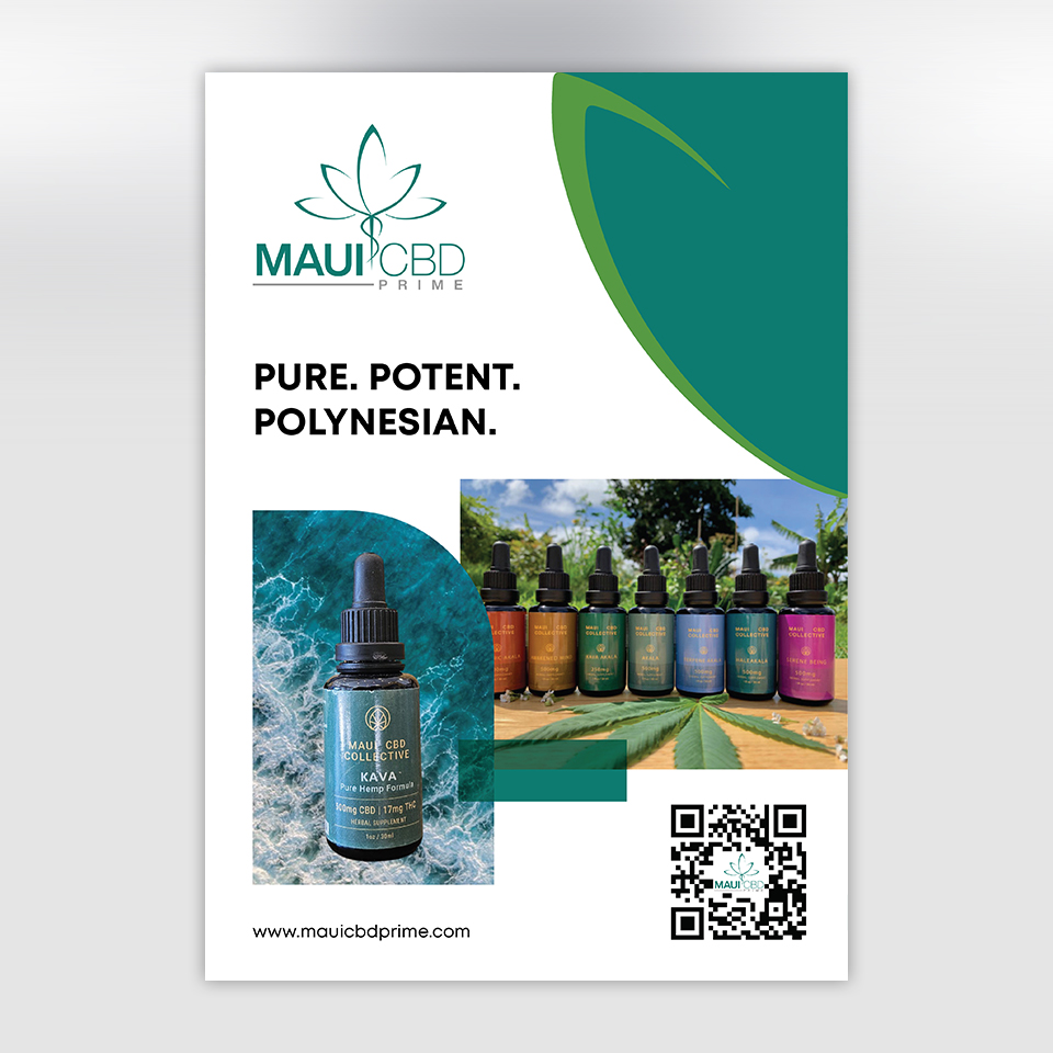 Design de Flyer par YourLogoMaster pour ce projet | Design #32400536