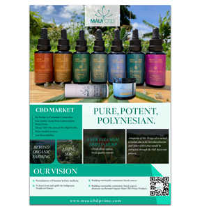 Flyer Design by Desire Design Solutions