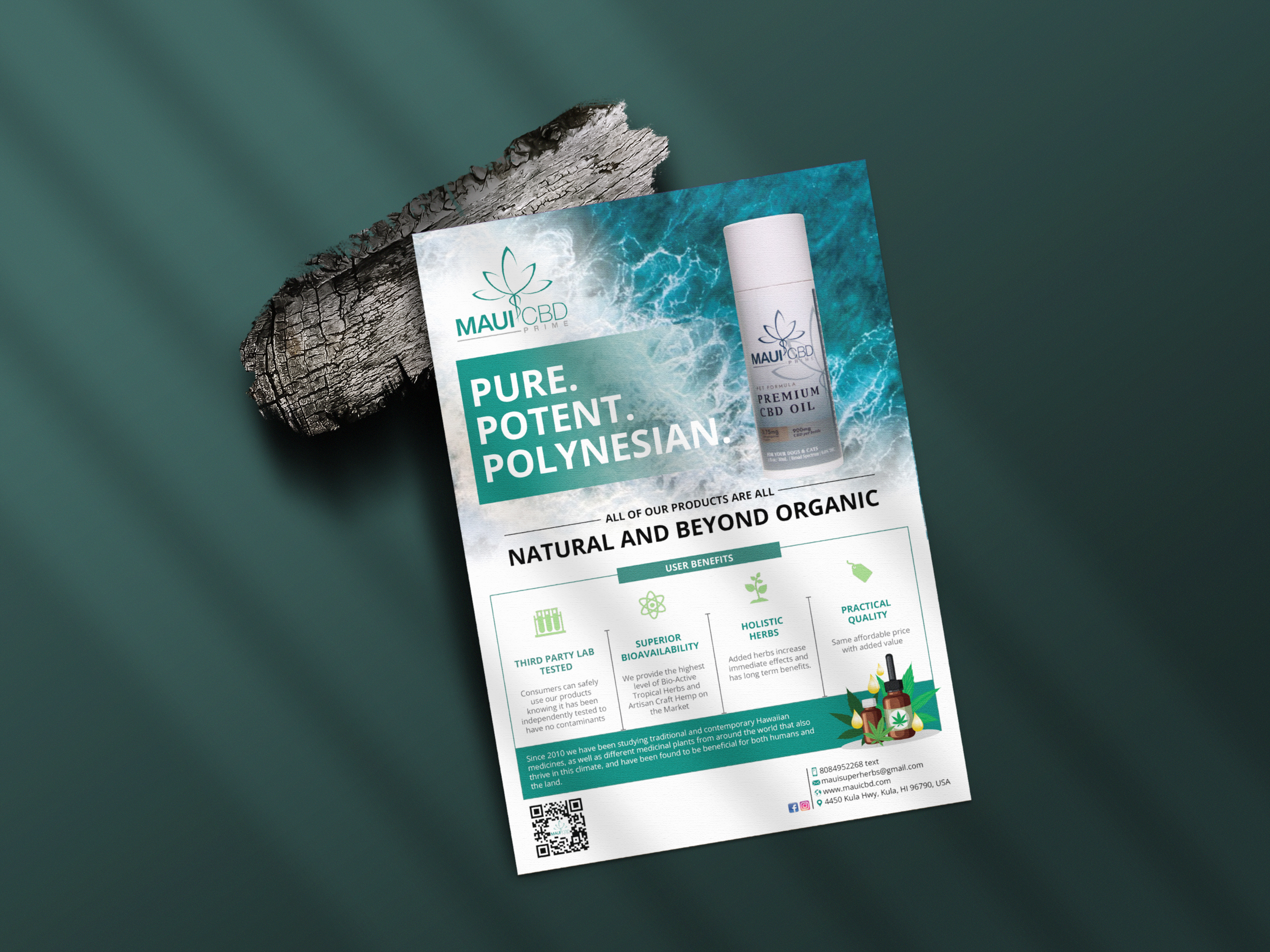 Flyer Design by Payel Paul for this project | Design #32417798