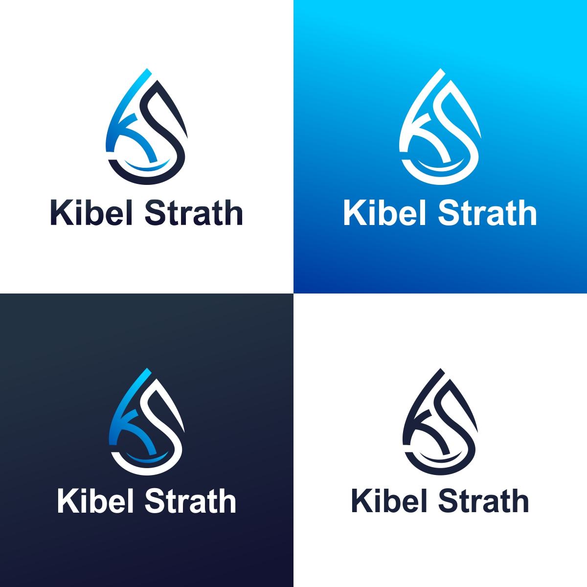 Logo Design by fly  design for this project | Design #32405533