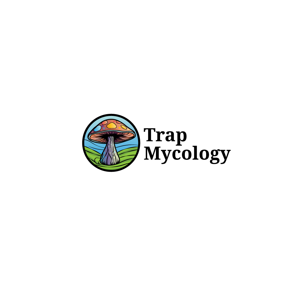 Logo-Design von coloratura für dieses Projekt | Design #32413088