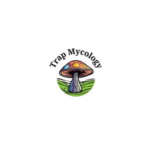 Logo-Design von coloratura für dieses Projekt | Design: #32413151