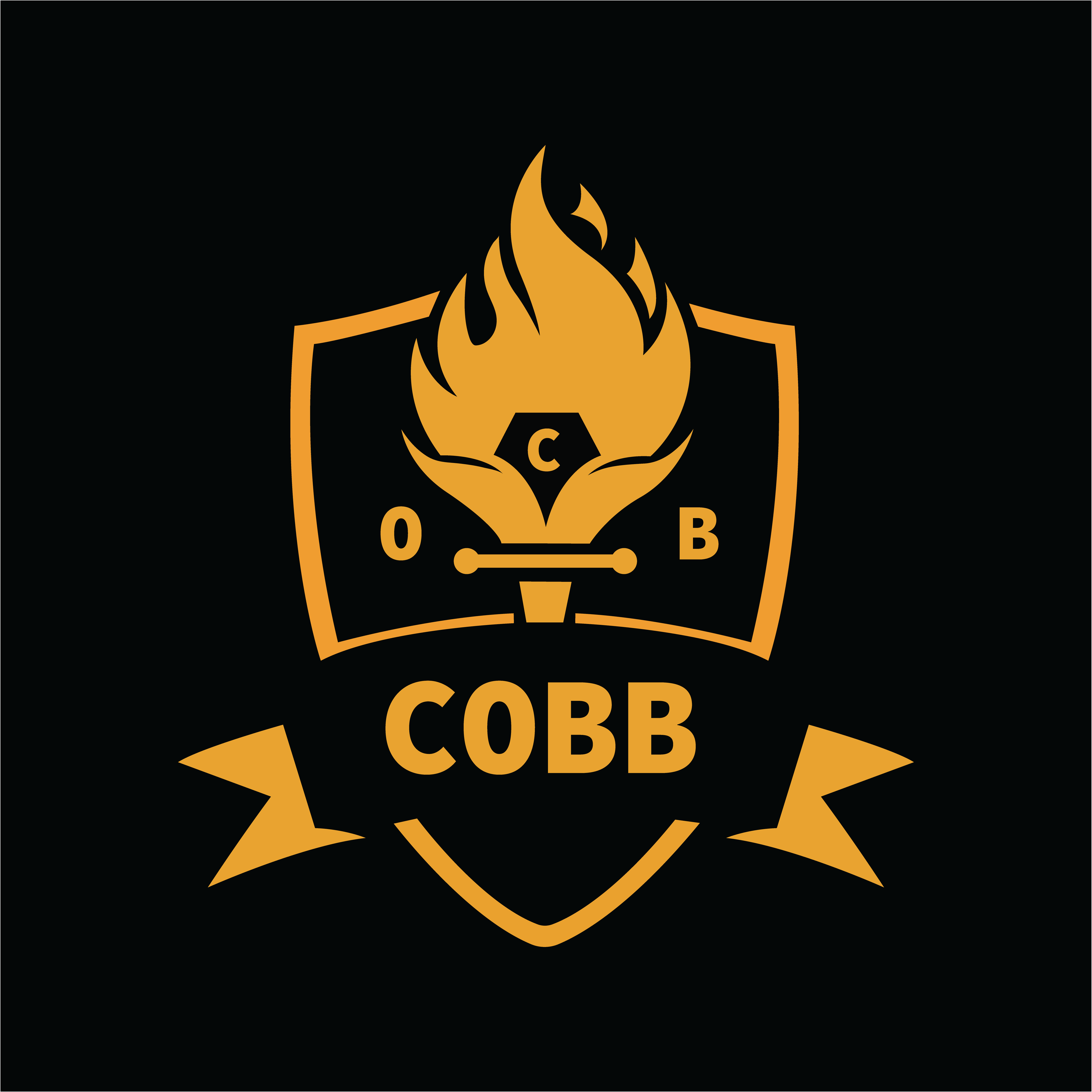 Logo Design by Hafsa Khan for this project | Design #32415052