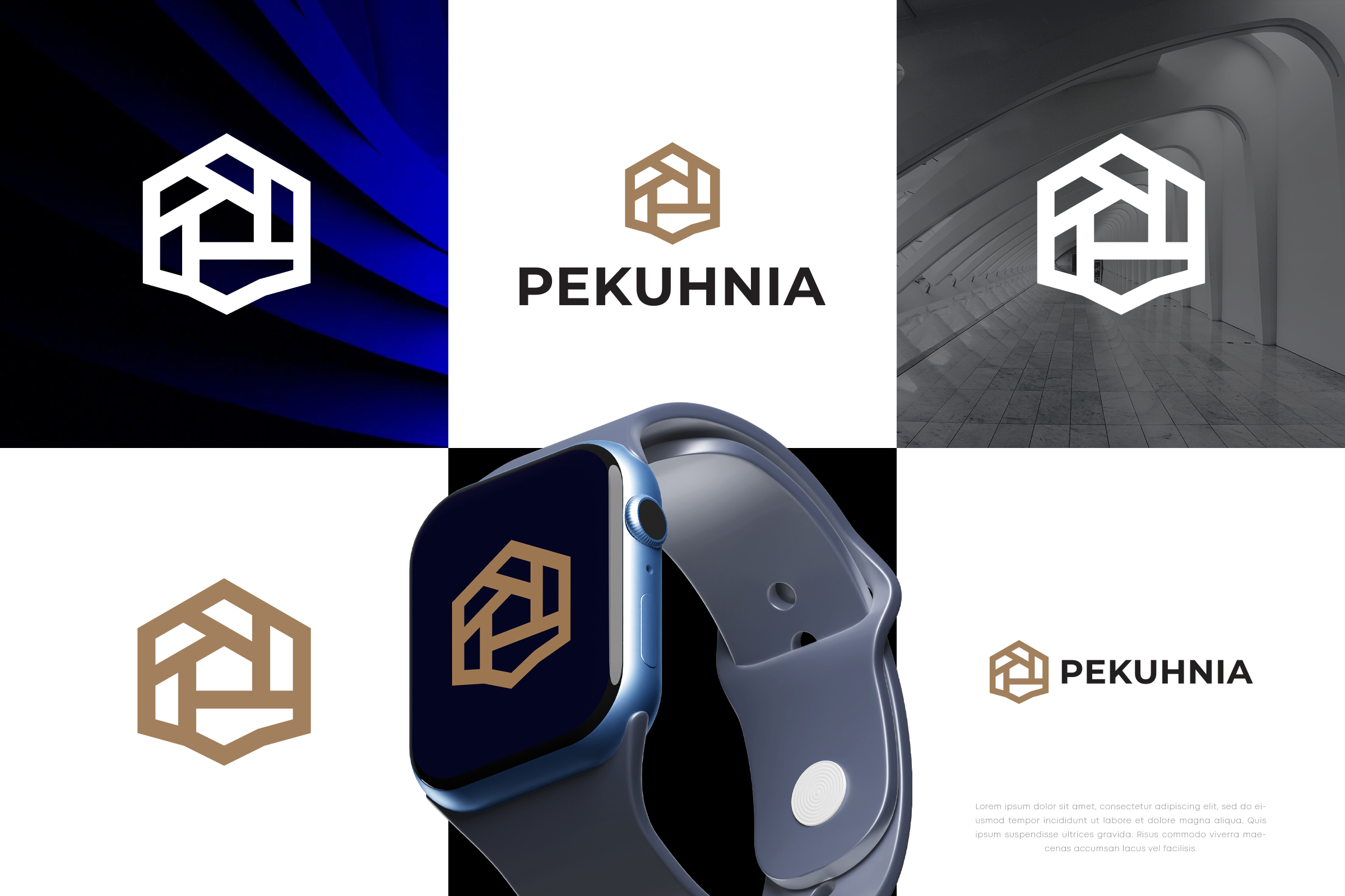 Logo Design by vramar.roy for PEKUHNIA Management GmbH | Design #32426200
