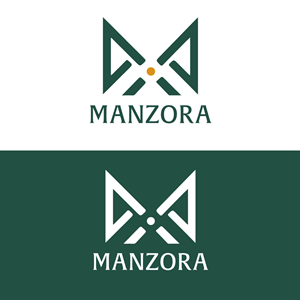 Logo Design by Safeer Ahmed1 for this project | Design: #32435854