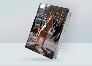 Photoshop Design by Fine Graphics House for this project | Design: #32456213