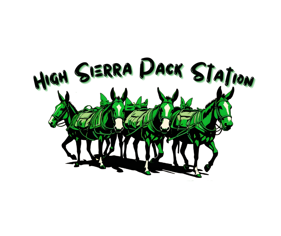 Apparel Design by DesignerStarr for High Sierra Pack Station | Design #32475124