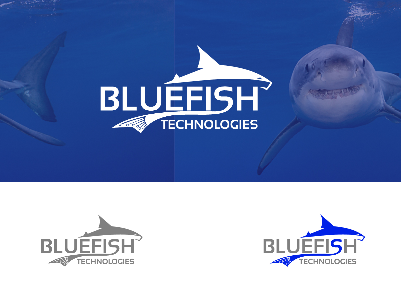 Logo Design by VectorForge for this project | Design #32439609