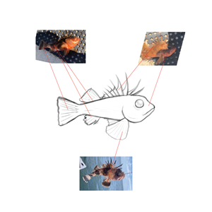 Logo Design by Jerwin Intac for this project | Design: #32692992