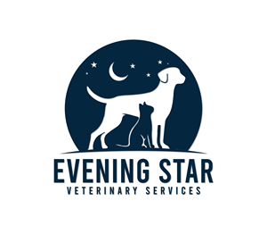 Logo Design by Nova_Create for this project | Design: #32445349