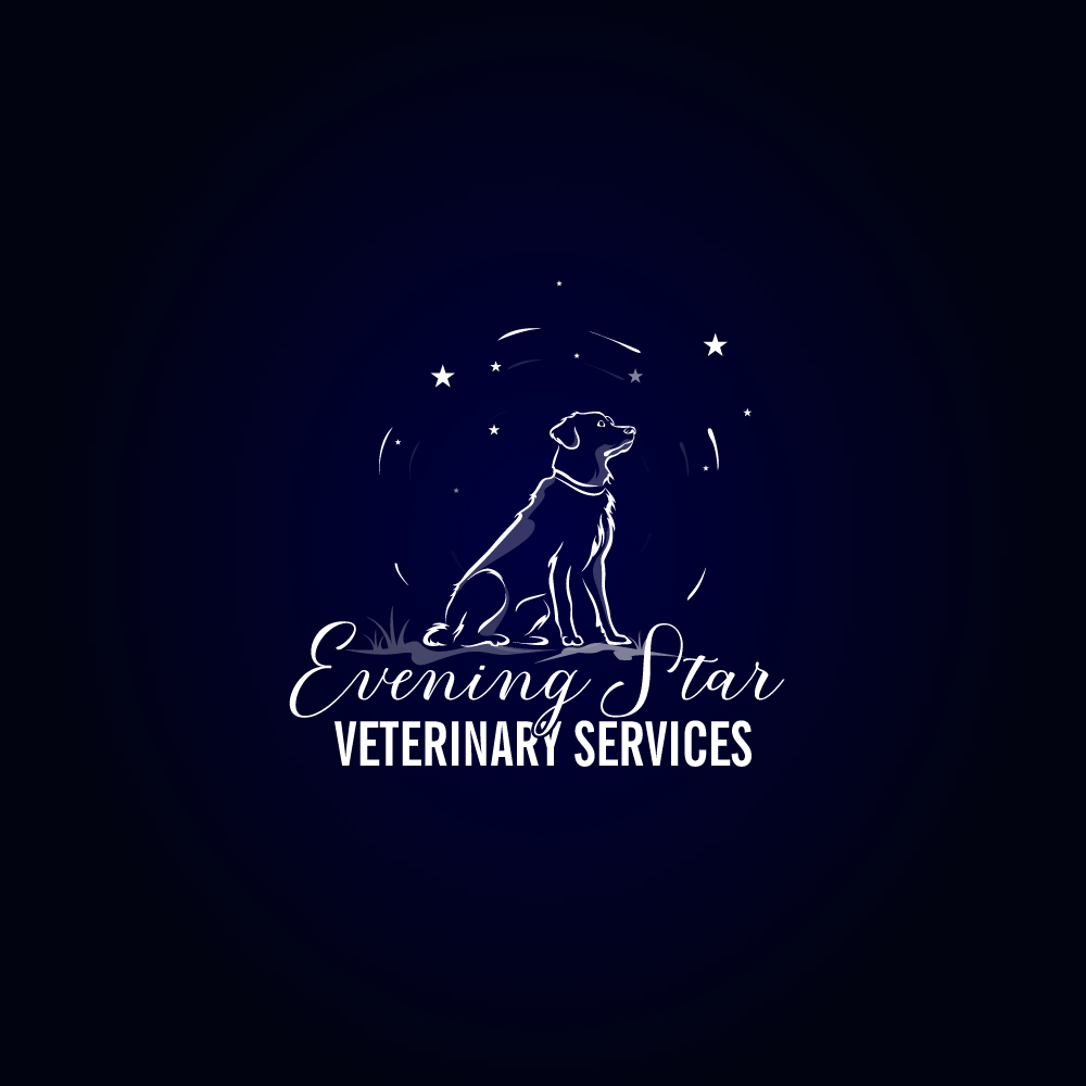 Logo Design by Krold IT Solutions for this project | Design #32441567