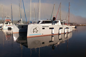 Diseño de Logo por TiD para este proyecto | Diseño: #32550203