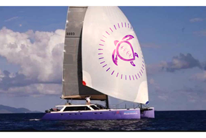 Diseño de Logo por TiD para este proyecto | Diseño: #32550397