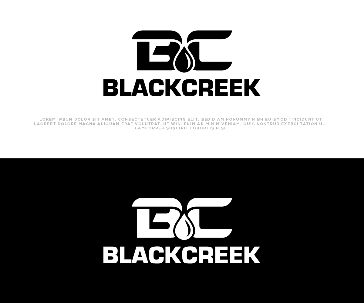 Logo Design by Ayub Zafar for this project | Design #32460354