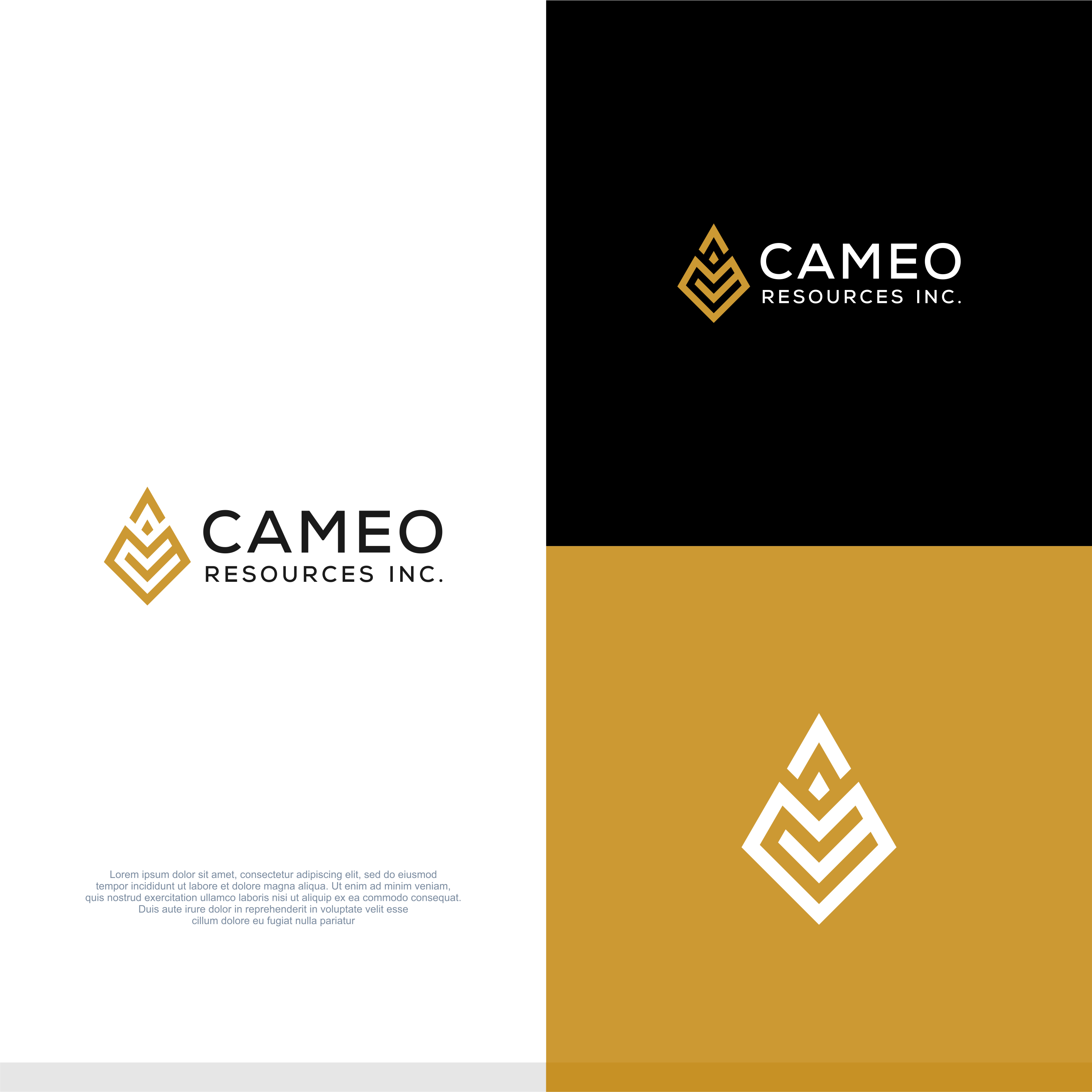Logo-Design von Grafie für Cameo Resources Inc. | Design #32451350