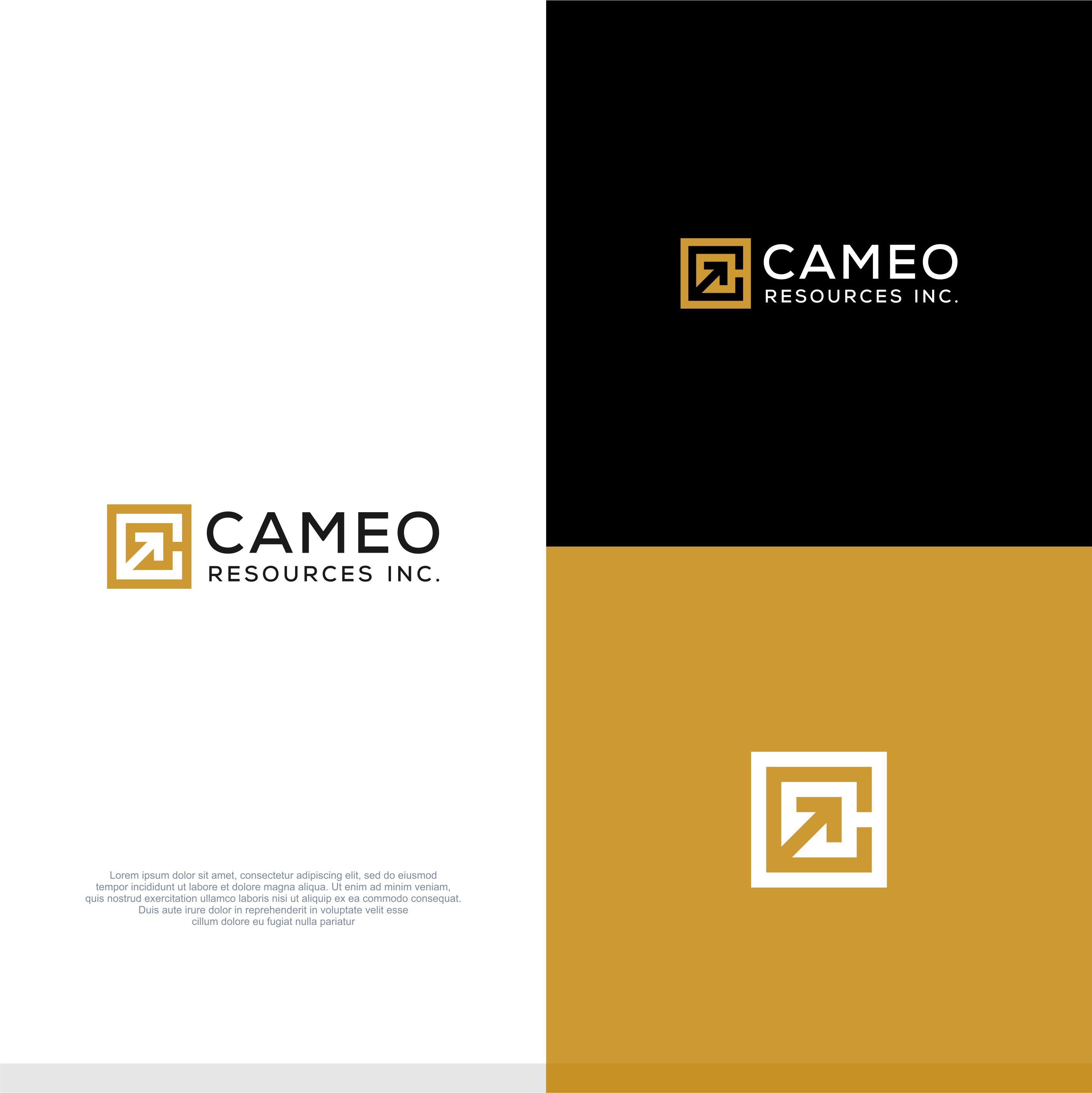 Logo Design by Grafie for Cameo Resources Inc. | Design #32451351