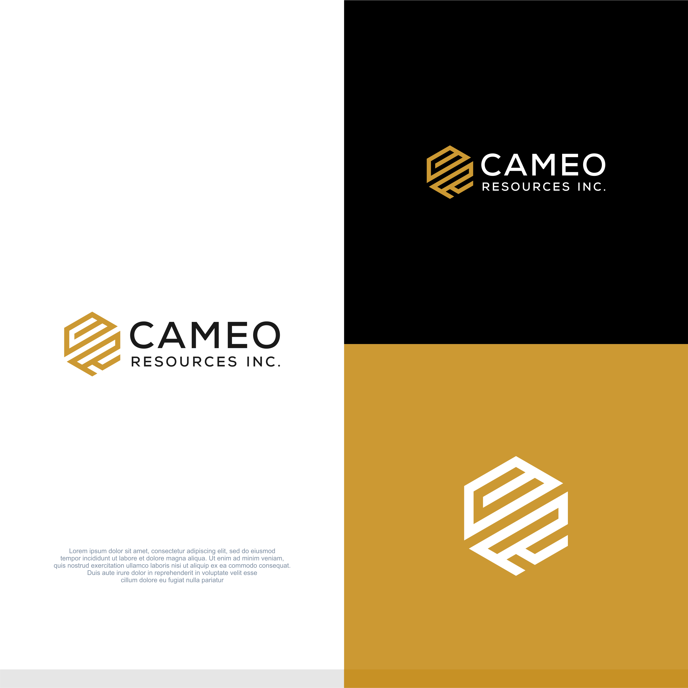Design de Logo par Grafie pour Cameo Resources Inc. | Design #32451353