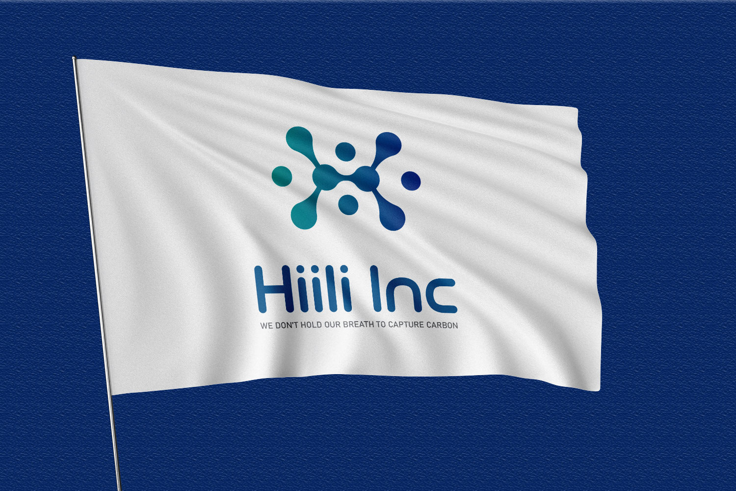 Logo Design by Abdul 20 for this project | Design #32451714