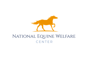 Logo Design by Marta Sobczak 