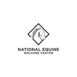 Logo Design by Rukhan