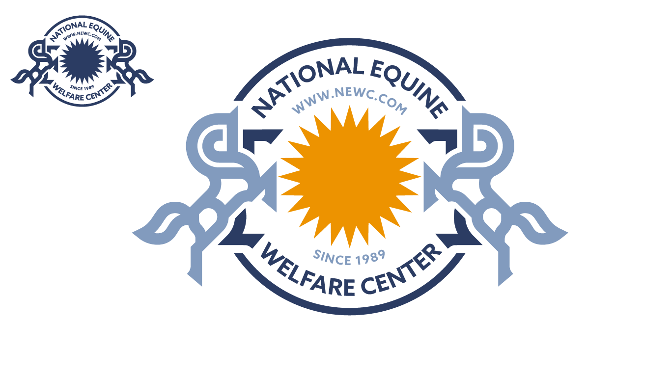 Logo Design by adjeiiBlack for Days End Farm Horse Rescue | Design #32454423