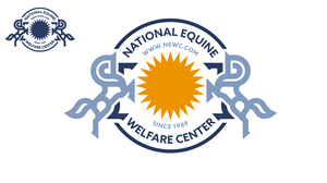 Logo Design by adjeiiBlack for Days End Farm Horse Rescue | Design: #32454423