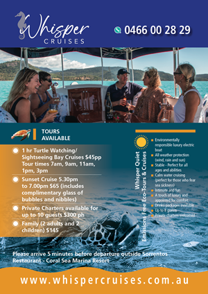 Graphic Design by LOM for Whisper Cruises | Design: #32480888