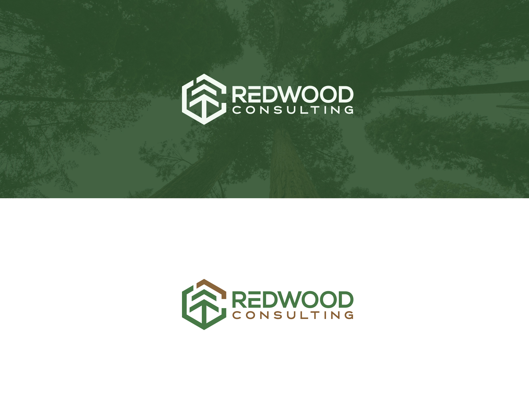 Logo Design by damakyjr for this project | Design #32488985