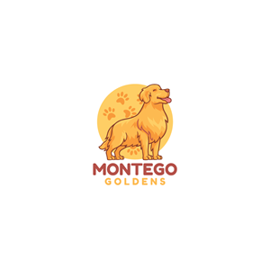 Diseño de Logo por Jerwin Intac para este proyecto | Diseño: #32480896