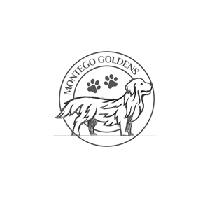 Diseño de Logo por Onse Officials para este proyecto | Diseño: #32476223