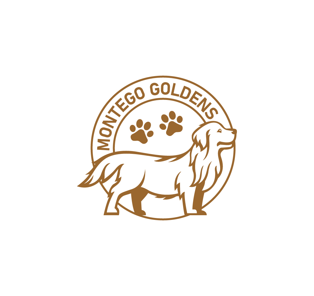 Logo Design by Onse Officials for this project | Design #32484633