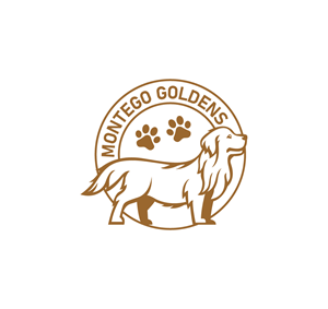 Logo Design by Onse Officials for this project | Design #32484633