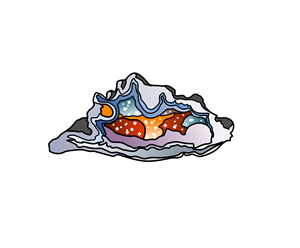 Graphic Design by Olgert for this project | Design: #32485890