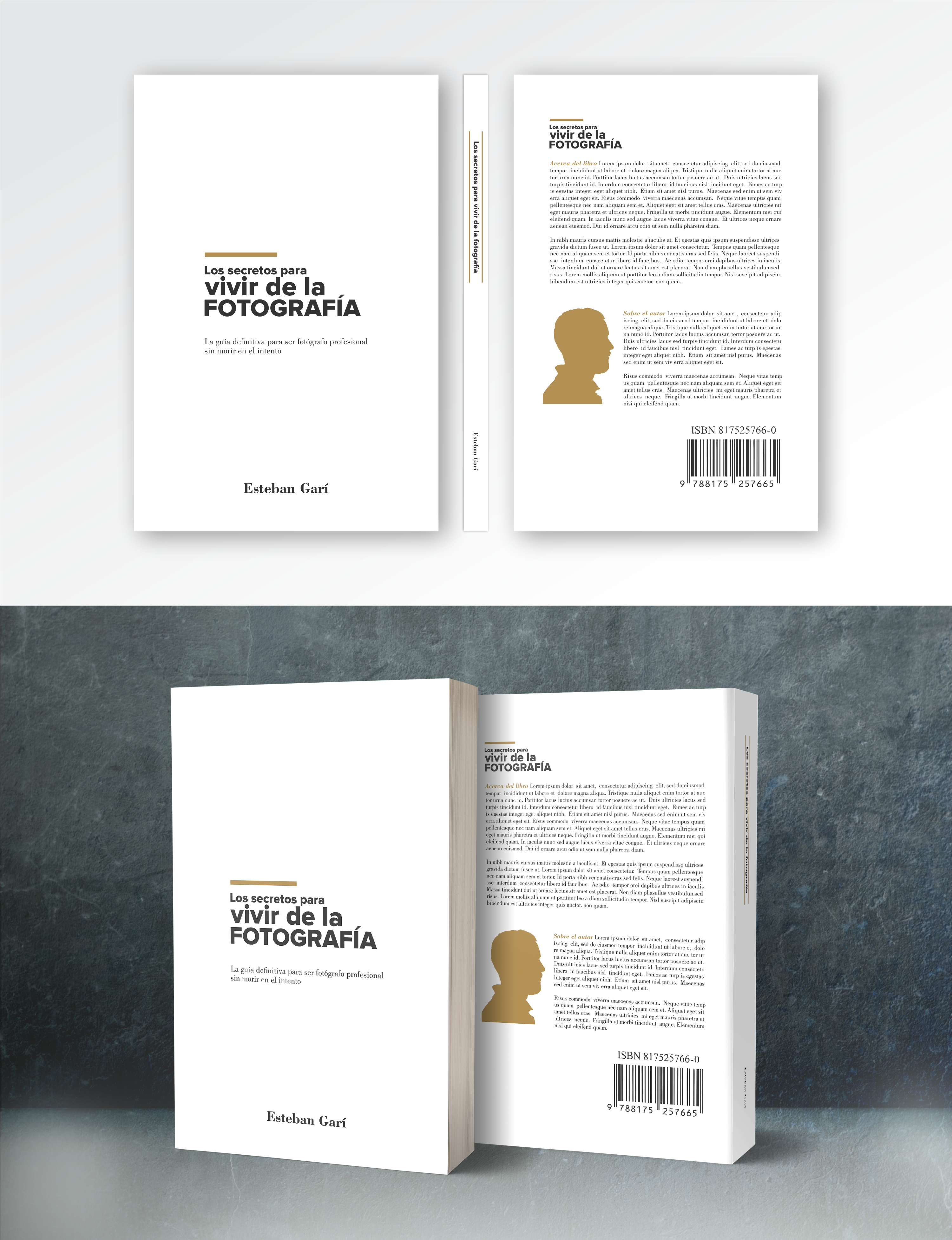 Diseño de portada de libro por dadaMEDIA para este proyecto | Diseño: #32513974