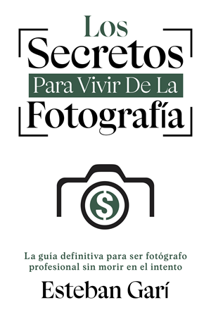 Diseño de portada de libro por Elsa Designs para este proyecto | Diseño: #32514759