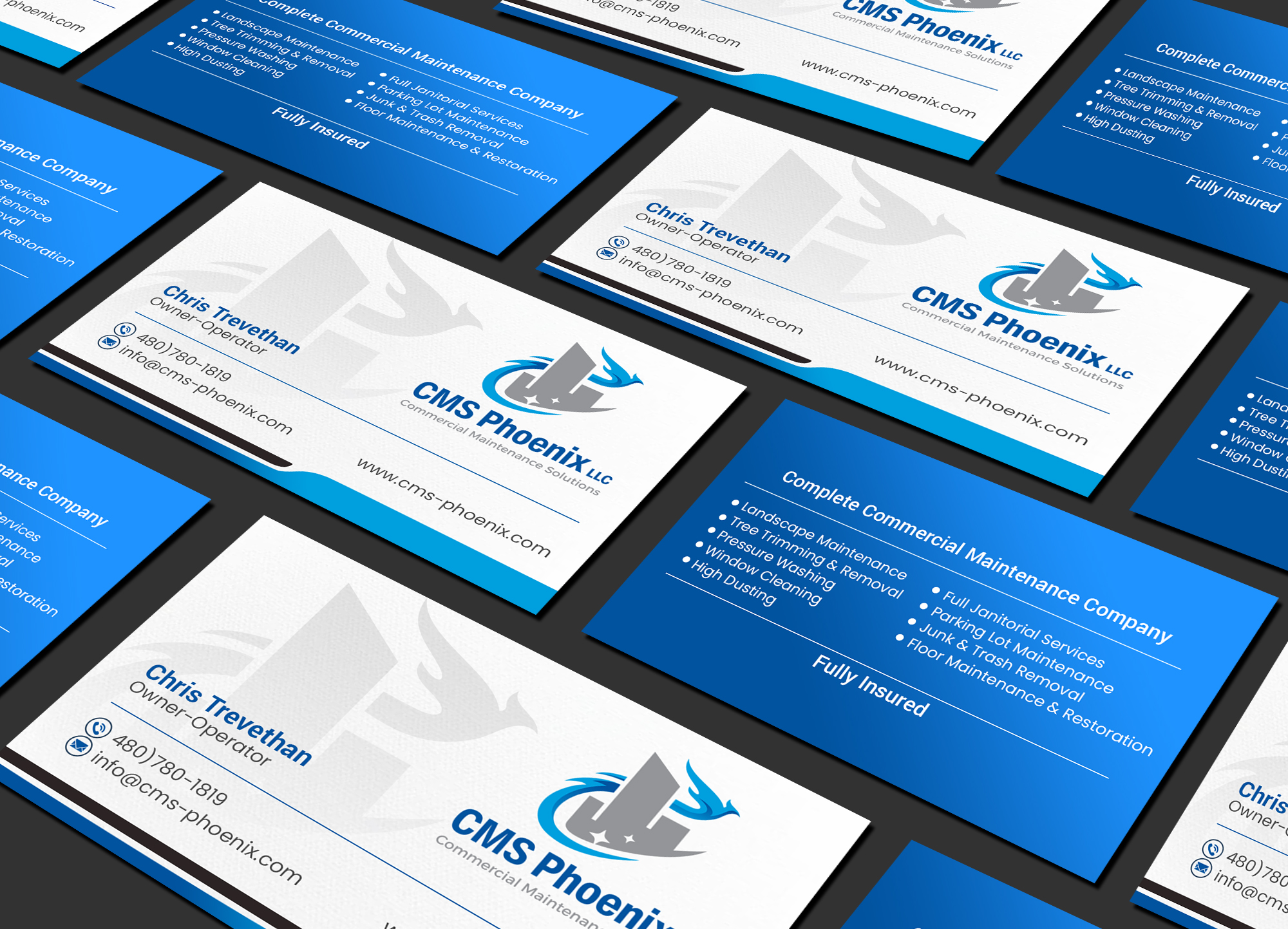 Business Card Design by Creations Box 2015 for Doc's Steam Team Cleaning | Design #32506740
