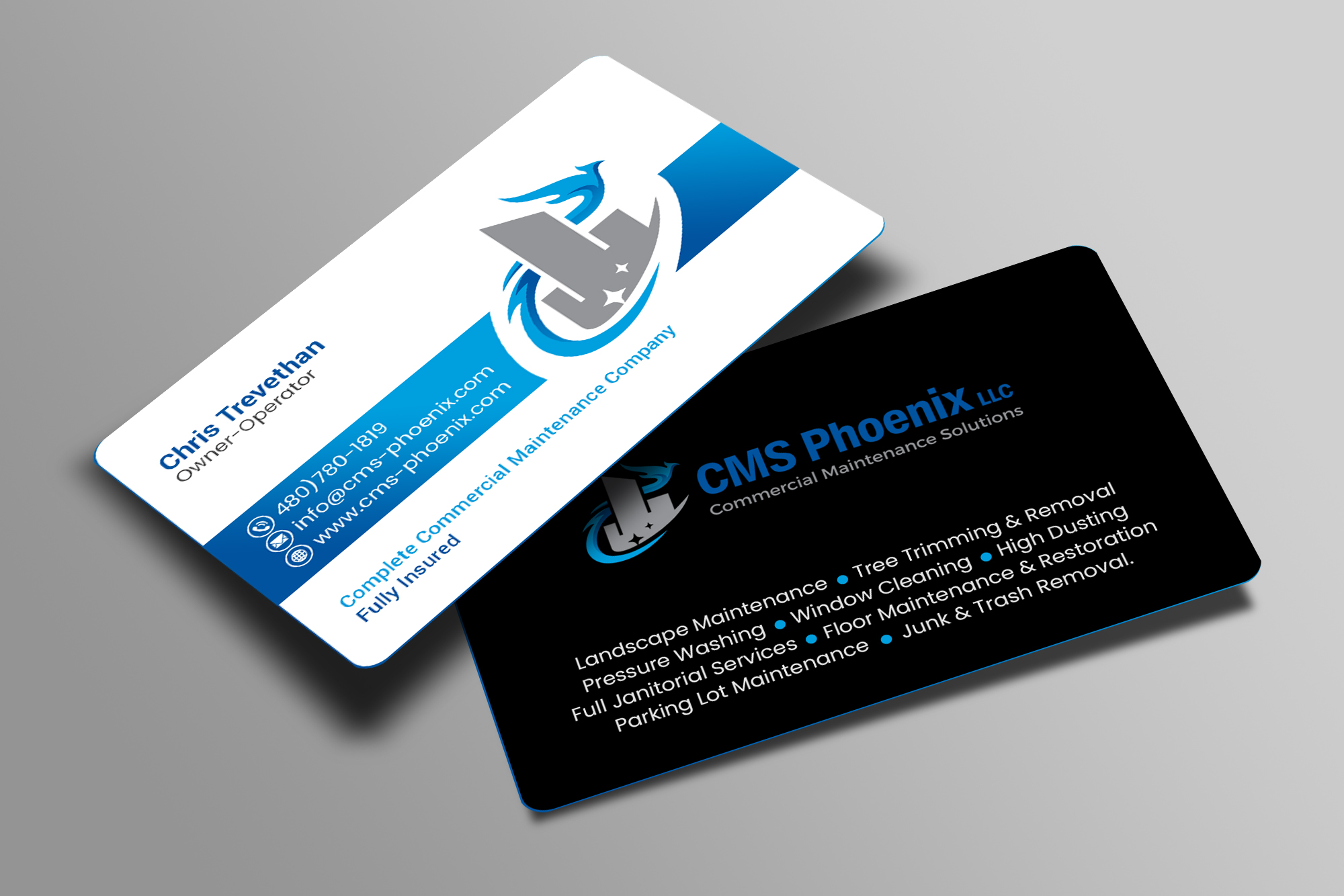 Business Card Design by Creations Box 2015 for Doc's Steam Team Cleaning | Design #32506751